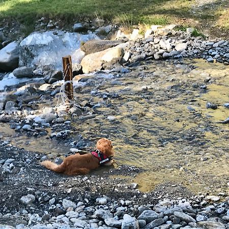 Ferienwohnung Biohof Laussnitzer In Rennweg Rennweg am Katschberg Bagian luar foto