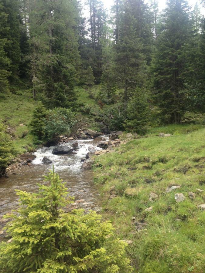 Ferienwohnung Biohof Laussnitzer In Rennweg Rennweg am Katschberg Bagian luar foto